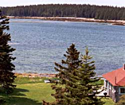 Overview